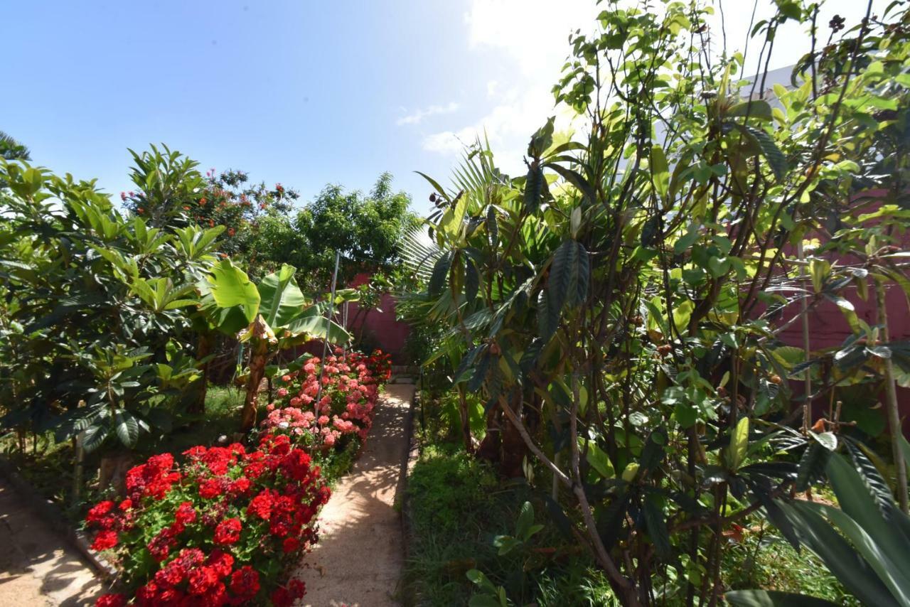 Villa Tonelero piscina privada climatizada y jardín Gáldar Esterno foto