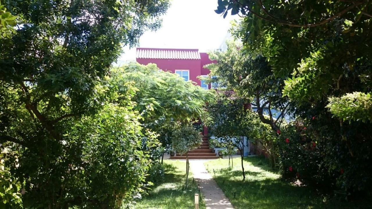 Villa Tonelero piscina privada climatizada y jardín Gáldar Esterno foto